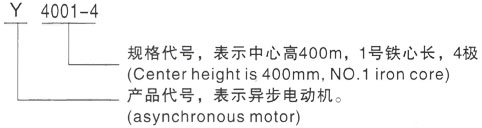 西安泰富西玛Y系列(H355-1000)高压YJTG-355L3-8A/185KW三相异步电机型号说明