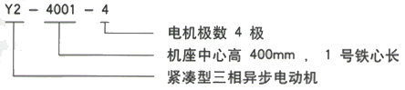 YR系列(H355-1000)高压YJTG-355L3-8A/185KW三相异步电机西安西玛电机型号说明